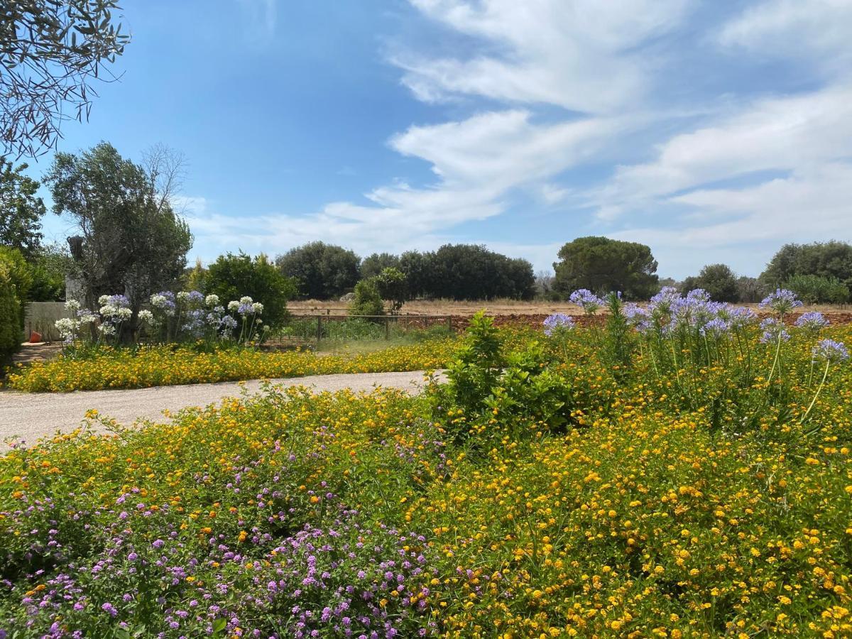 Casa Anna, Agriturismo Alla Castellana Gallipoli Kültér fotó